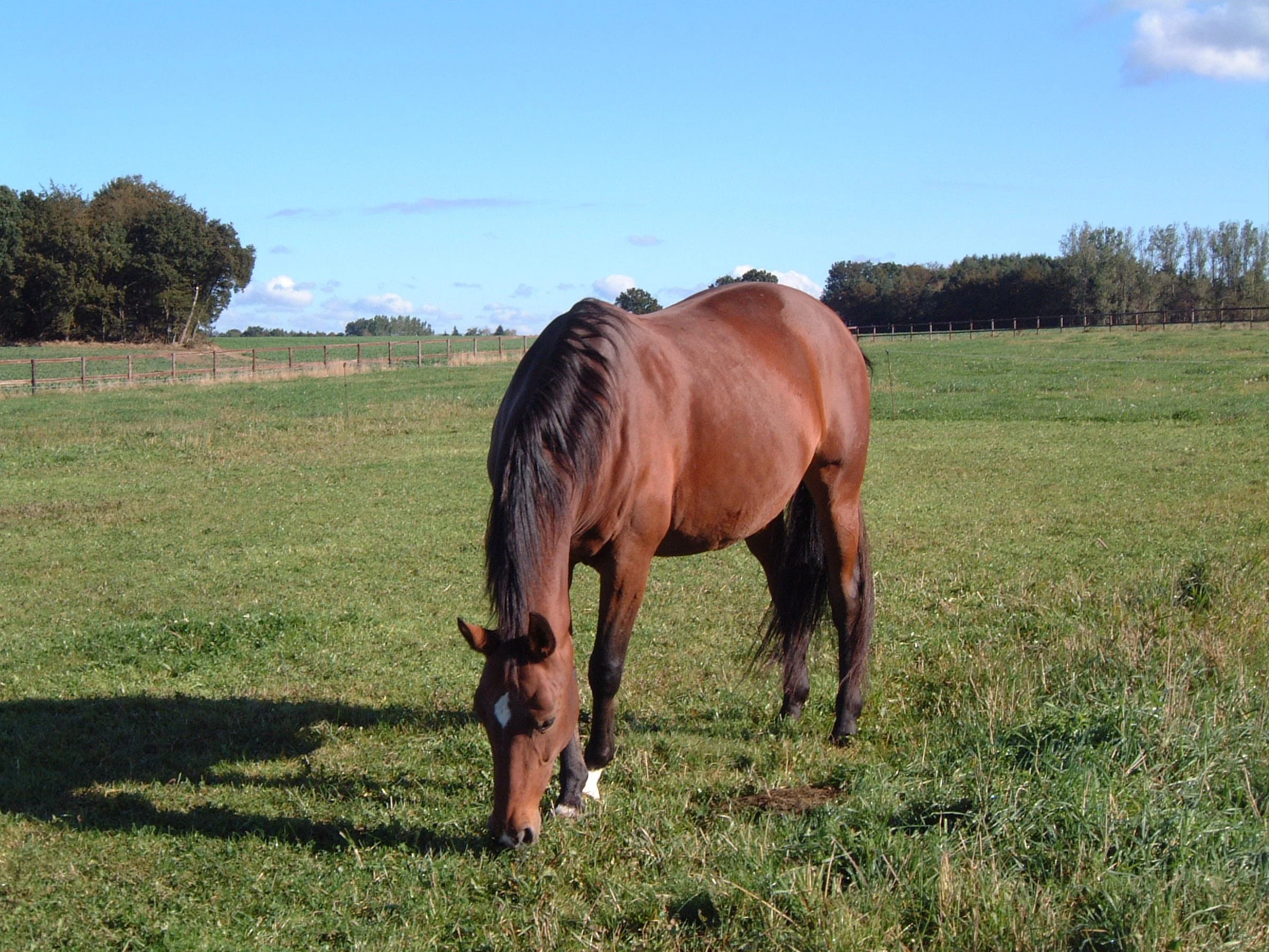 2004_1010_113919AA.JPG
