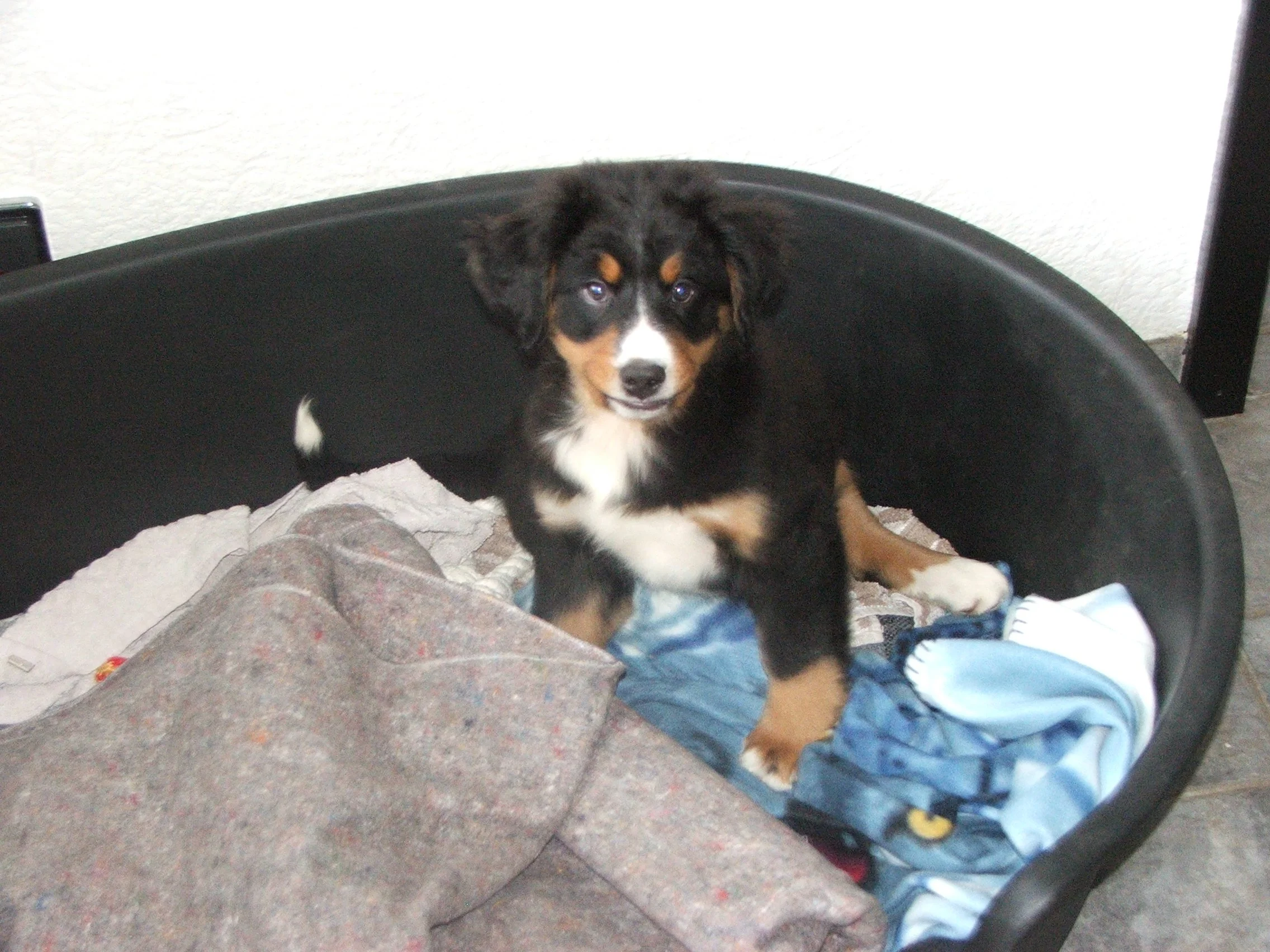 Tyla2005_1224_113215.JPG