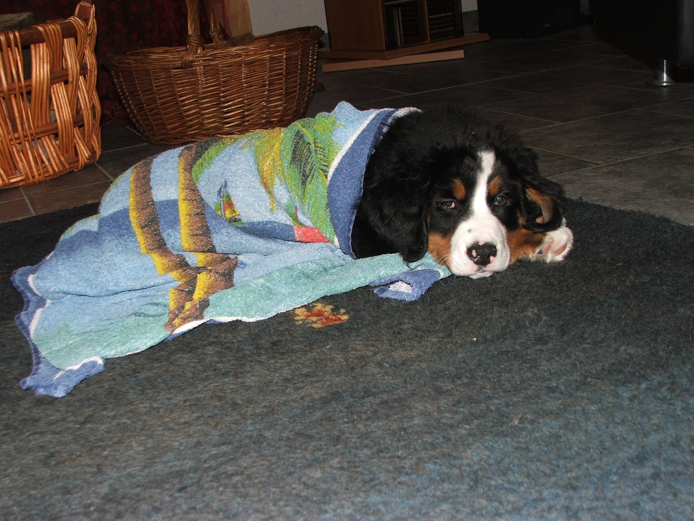 Aimee2007_1222_172631.JPG