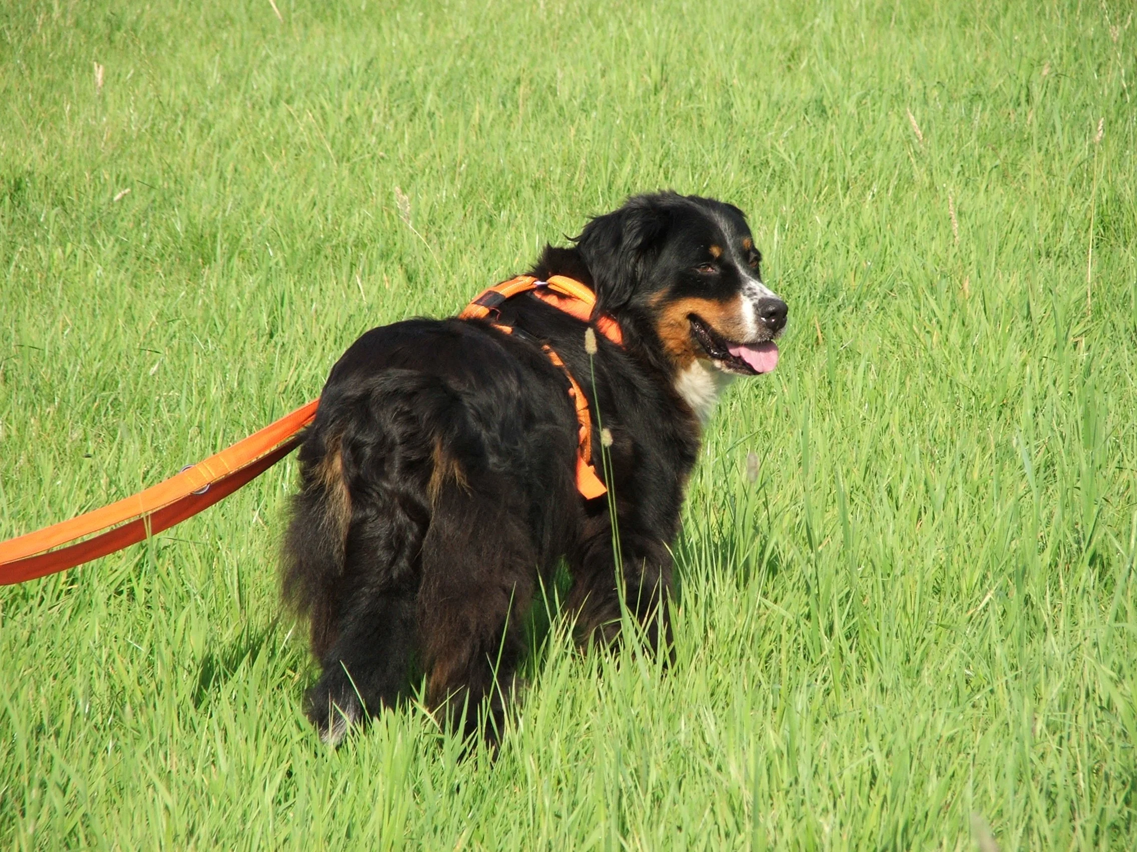 DSCF1363.JPG