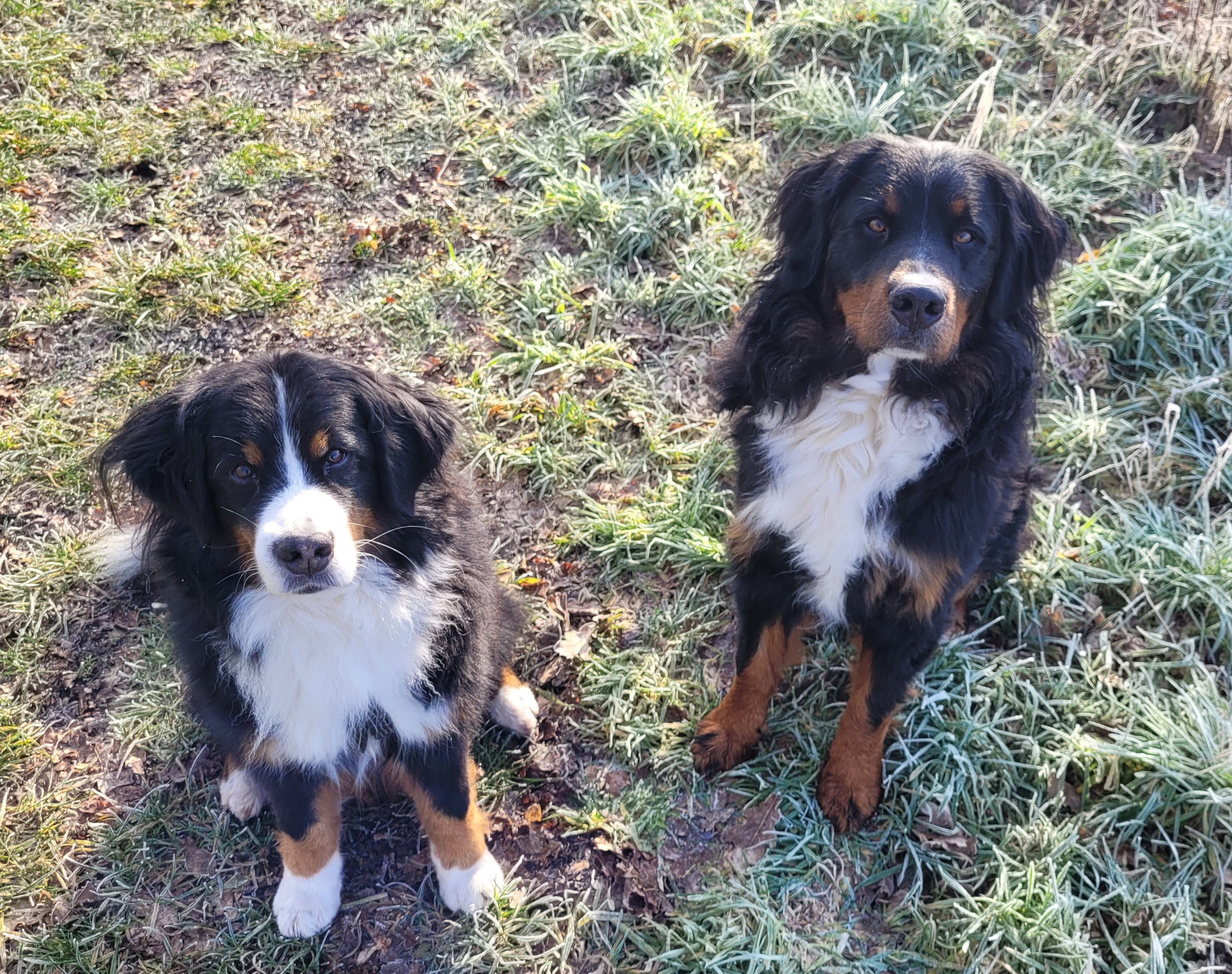 Mila und Alani
