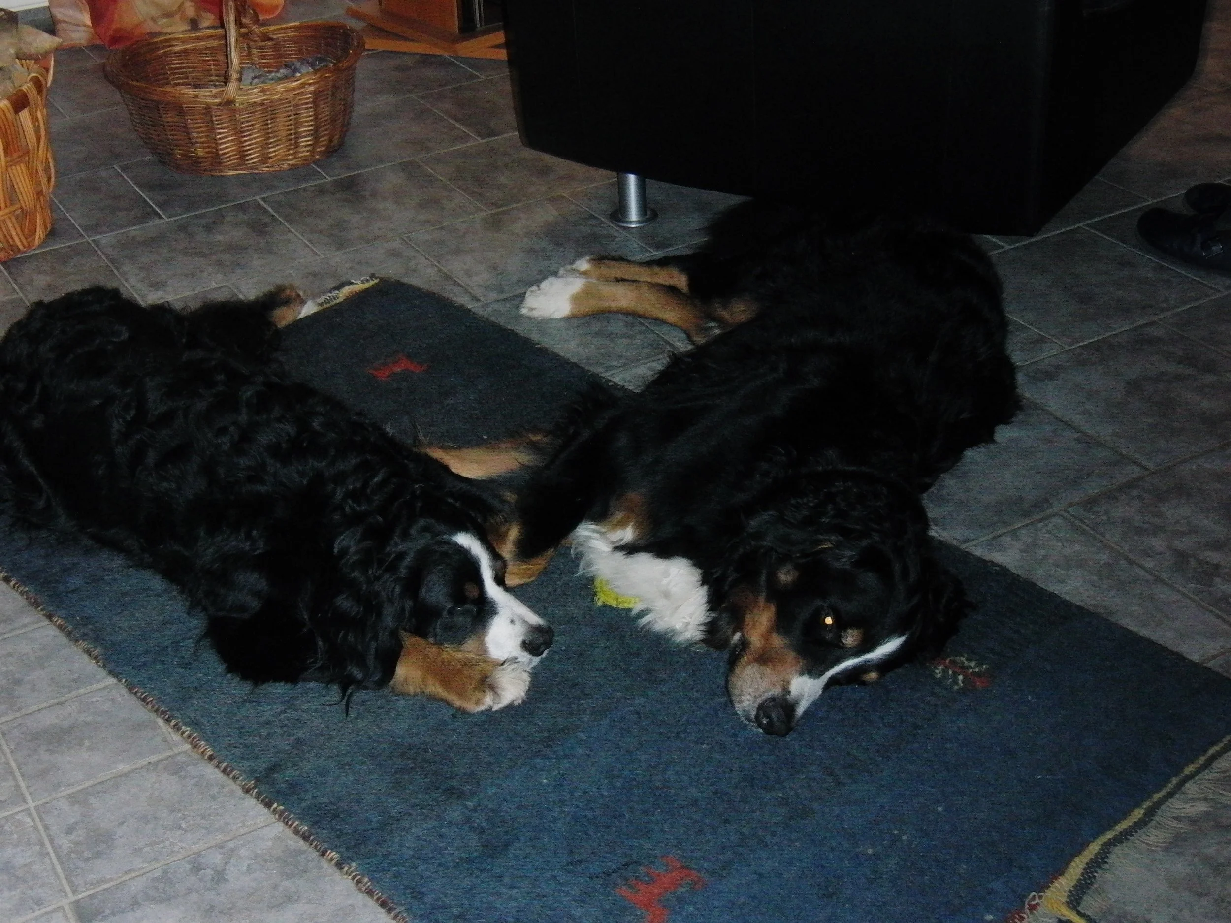 Aimee und Tyla (November 2010)