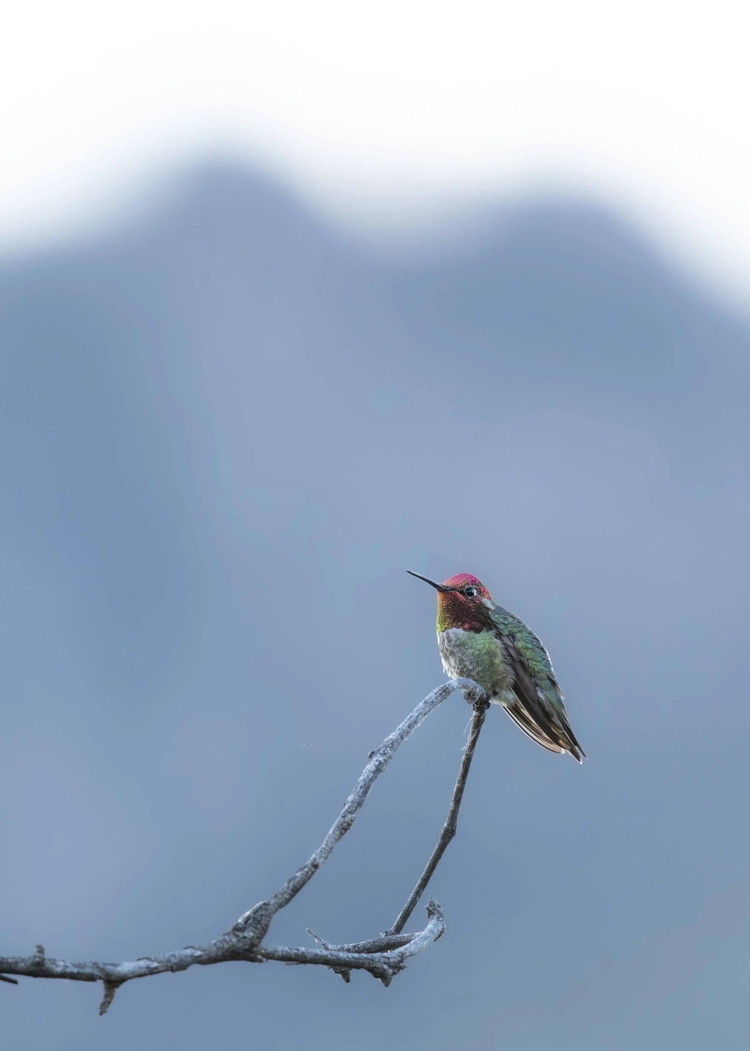 DSC_6926.jpg