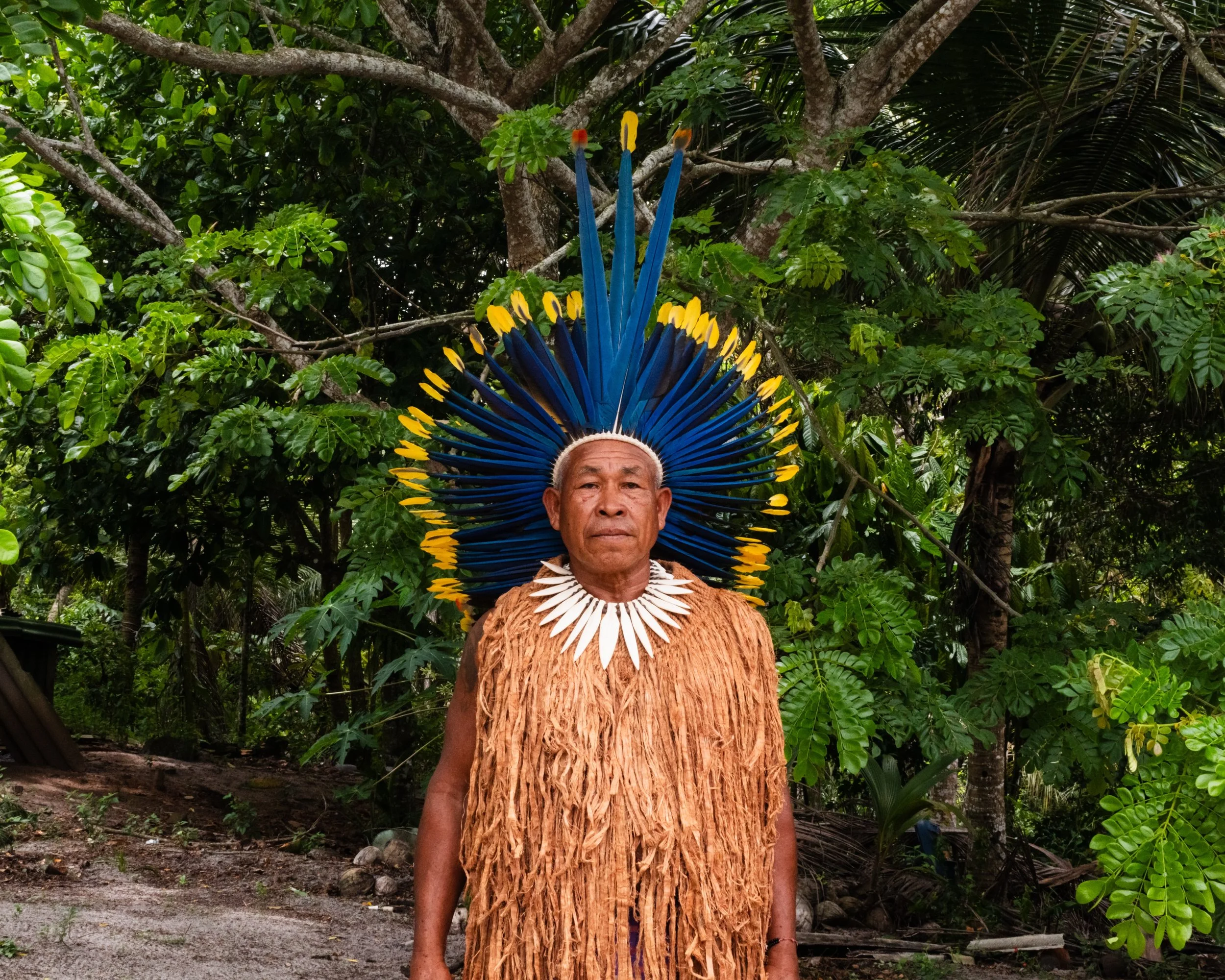 Os Tupinamb&aacute; j&aacute; foram dados como extintos. E o Taquari t&aacute; aqui. Previs&atilde;o n&atilde;o &eacute; destino.

Taquari Ros&aacute;rio Santos Tupinamb&aacute; 📷 @andrevleal