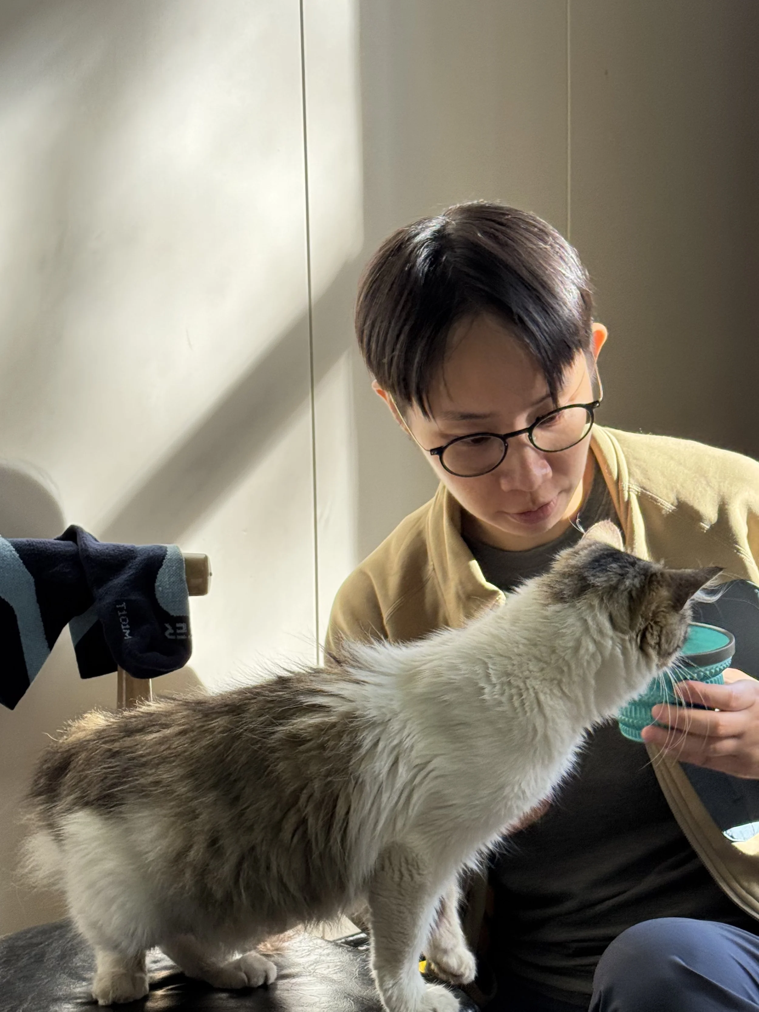 A person with short dark hair, glasses, and wearing a yellow shirt is interacting with a cat that is reaching out towards a blue bowl. The setting appears to be indoors with neutral-colored walls and some clothing items visible.