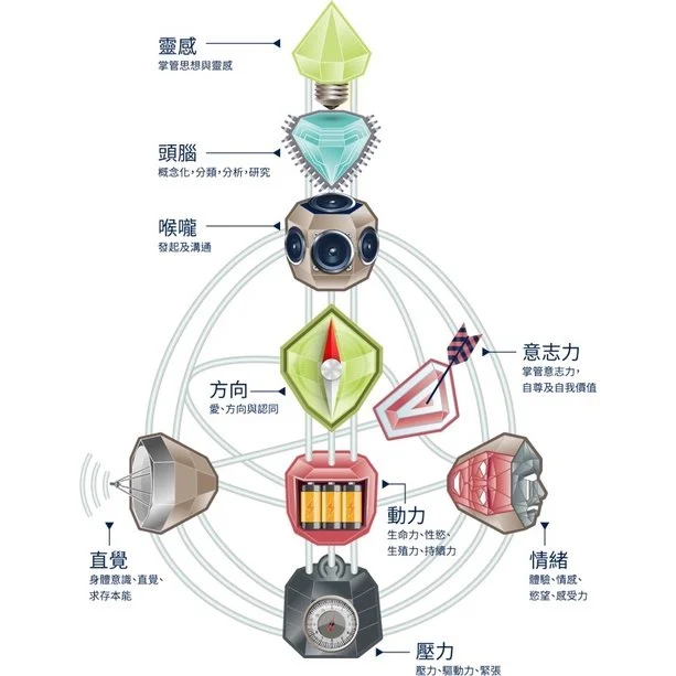 人類圖九大中心及其功能