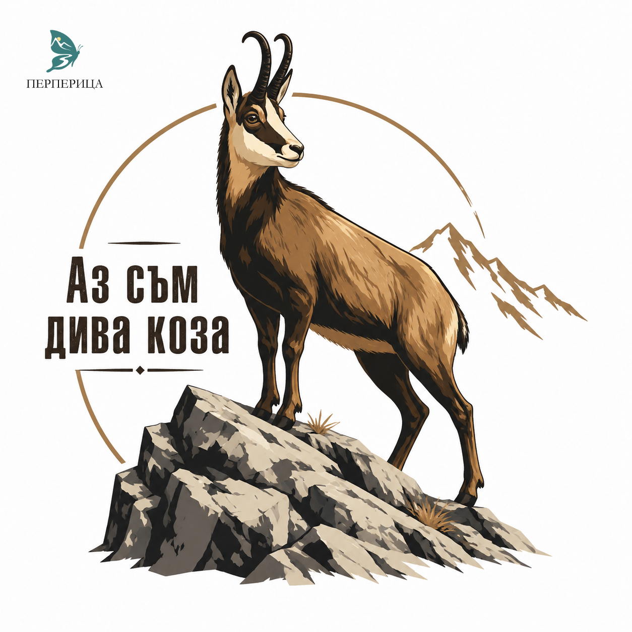 Неозаглавен дизайн (2).png