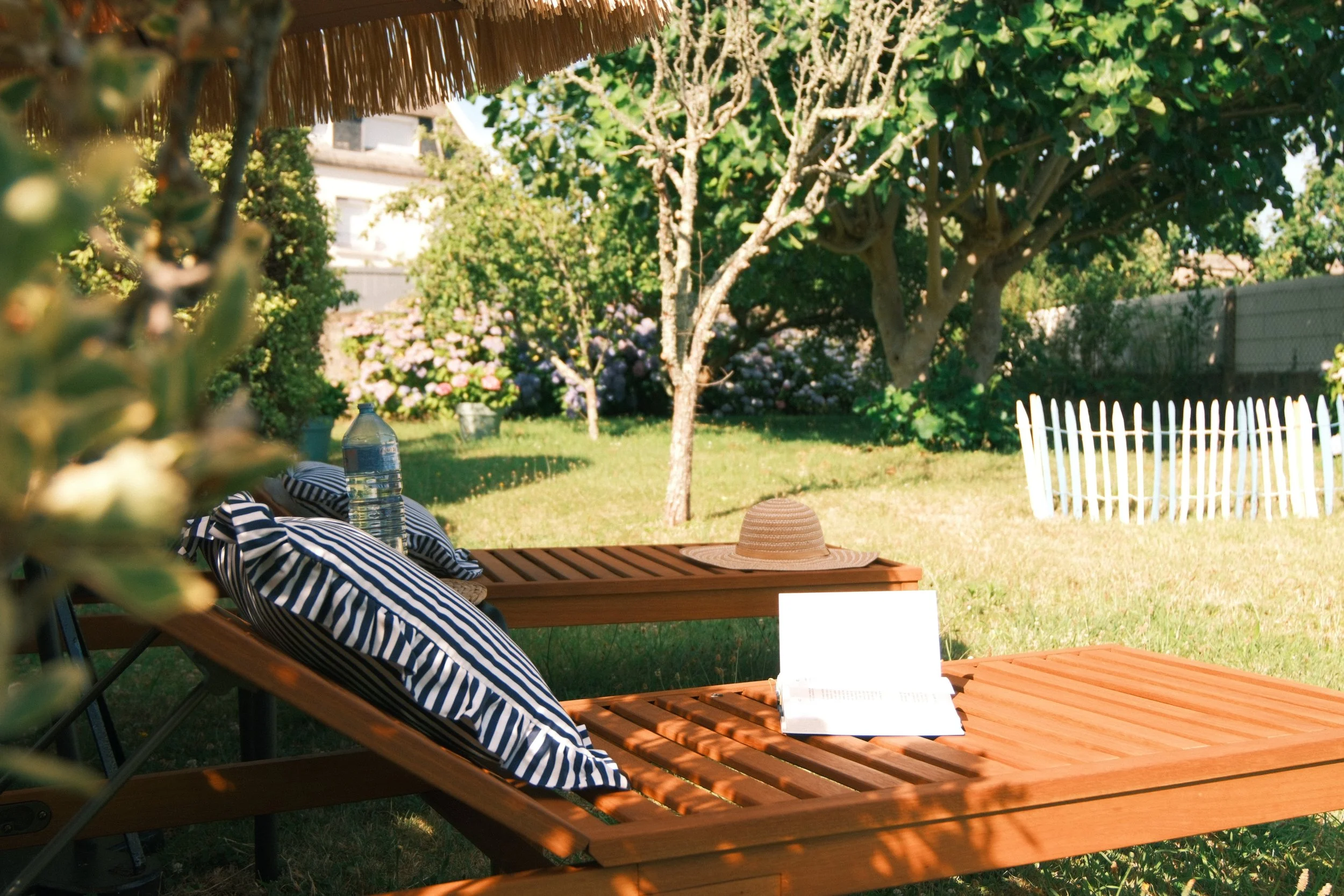Une image d'un jardin
