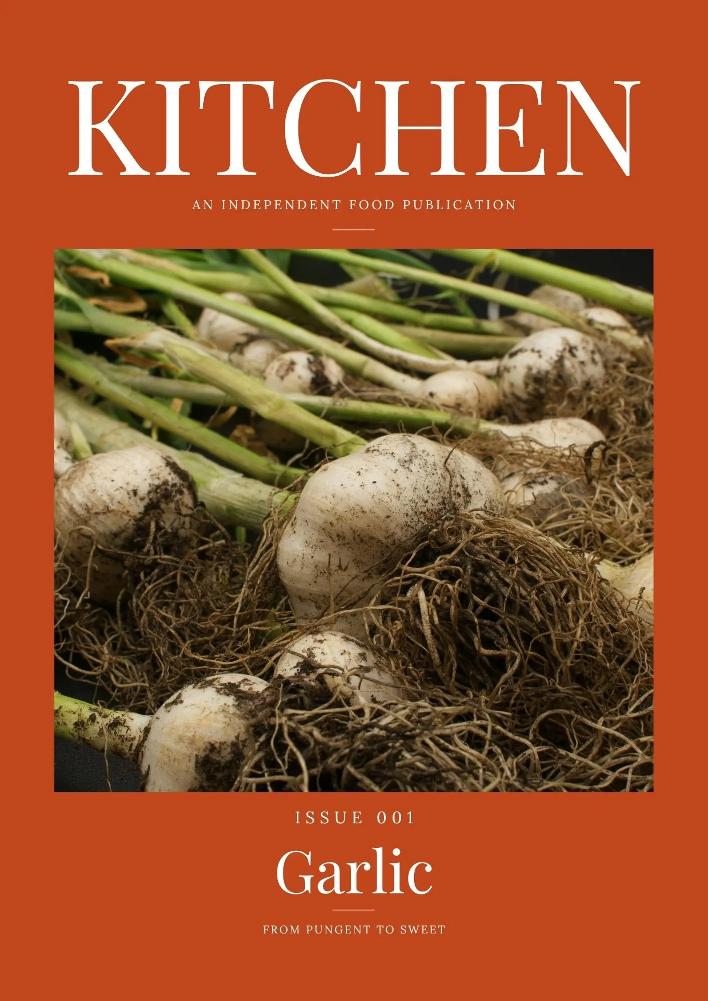 Issue 001: KITCHEN Issue 001, Garlic, featuring freshly harvested garlic bulbs.