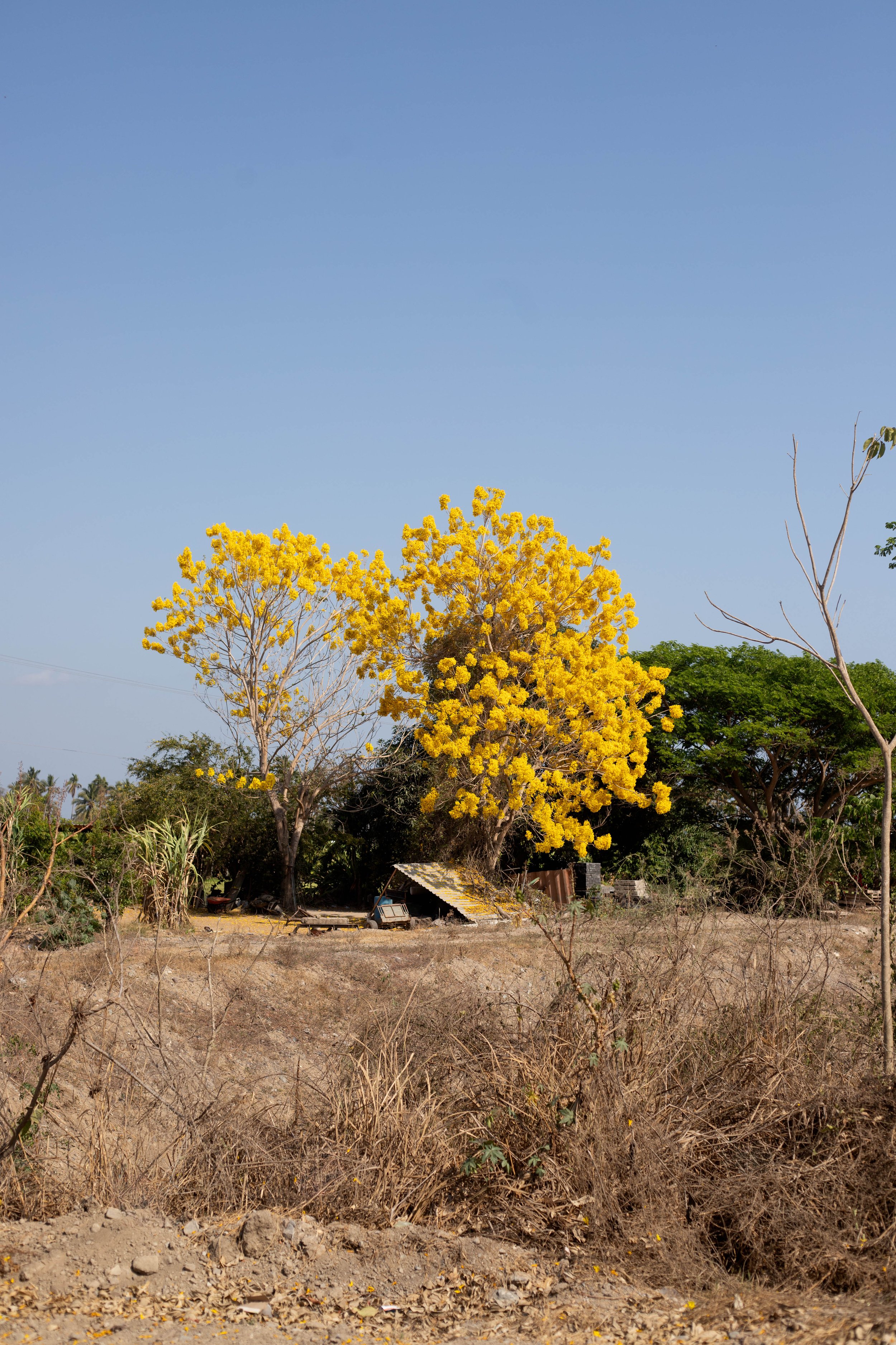IMG_6700-Edit-209.jpg