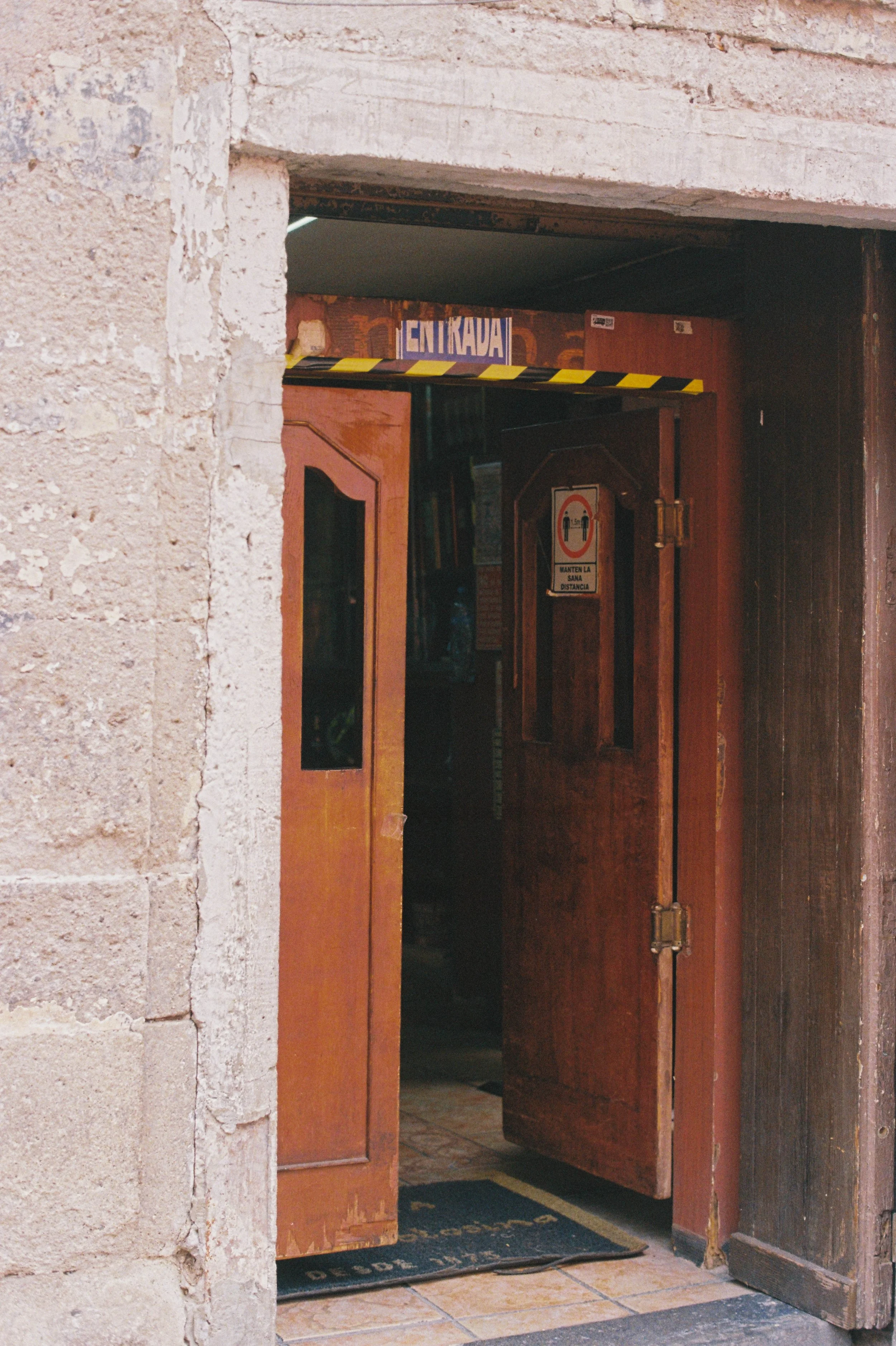 LaMascota3.jpg