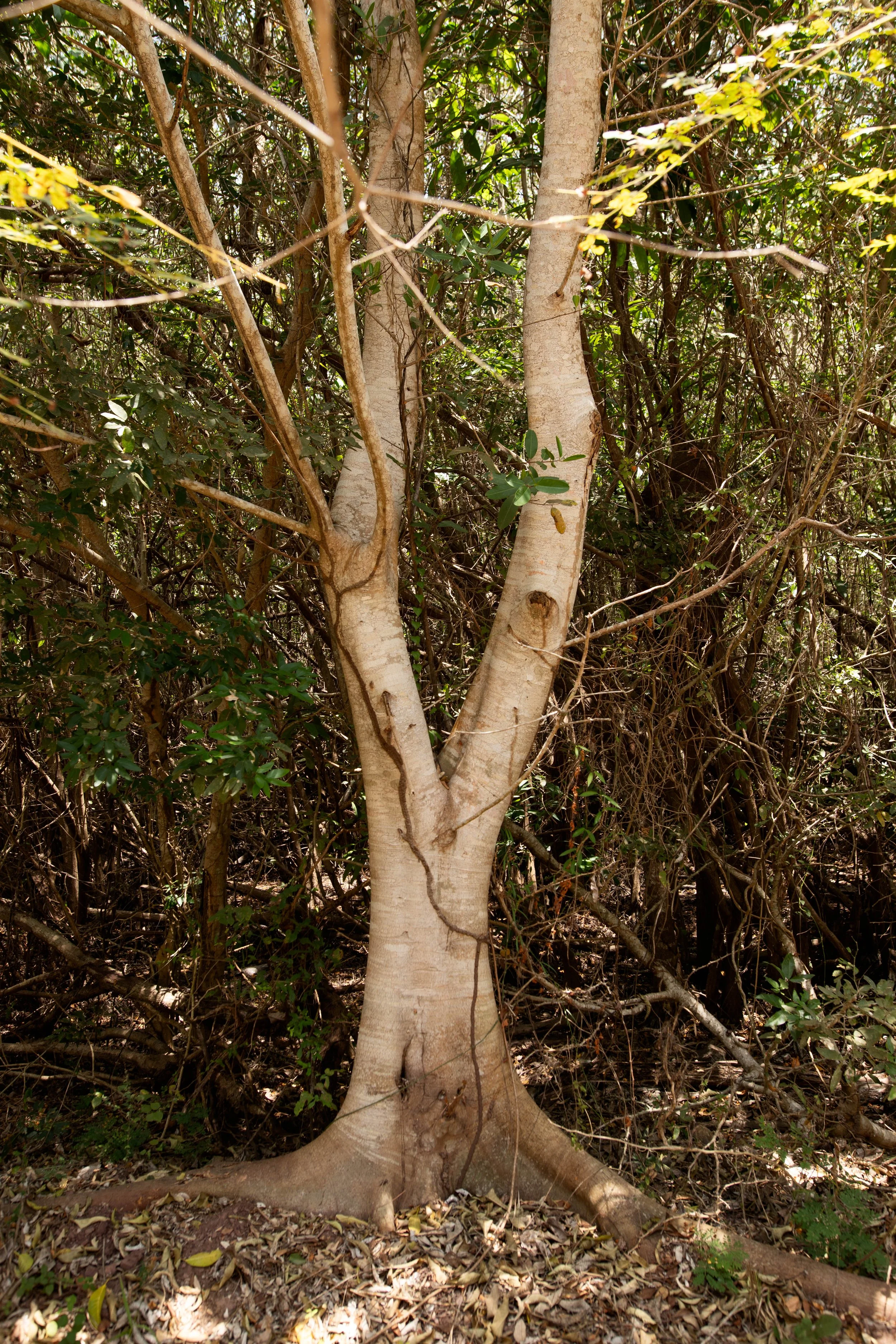 IMG_6700-Edit-138.jpg