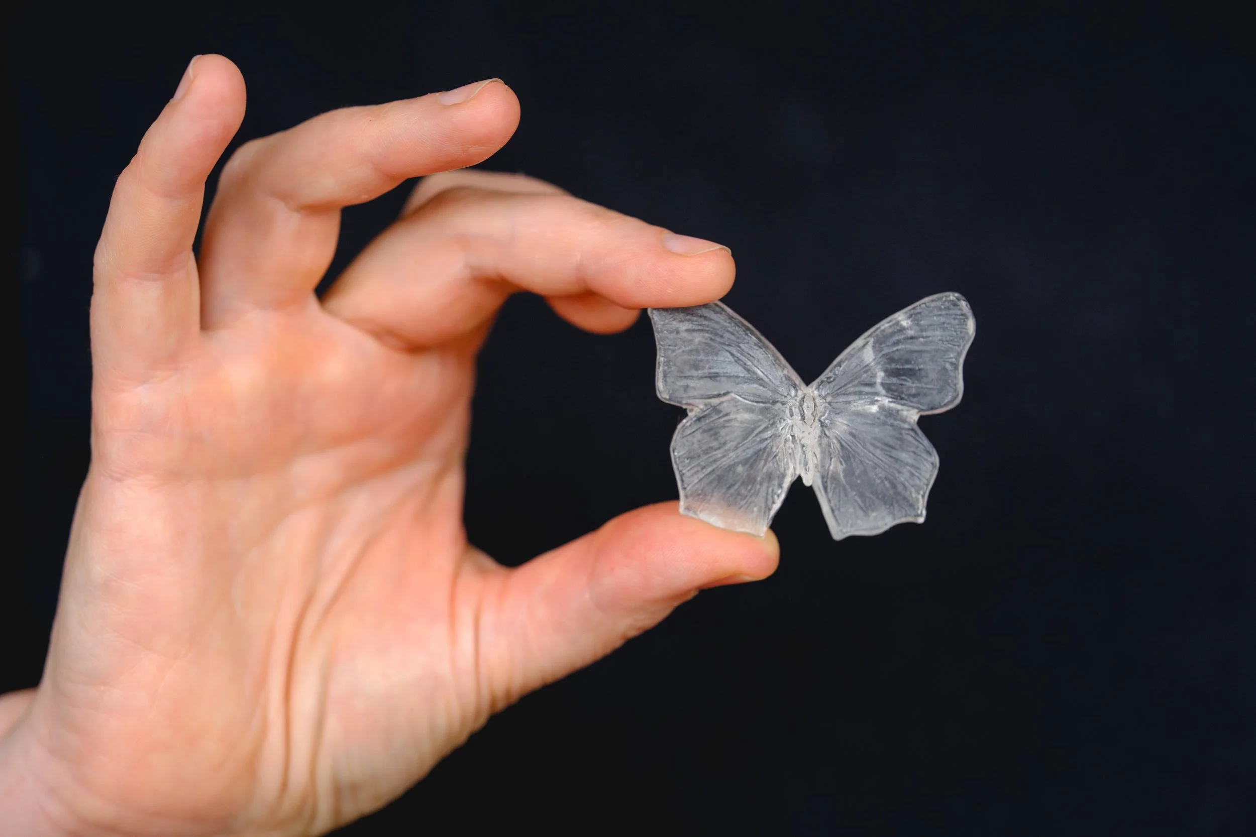 Effie_Burns_Butterfly.jpg