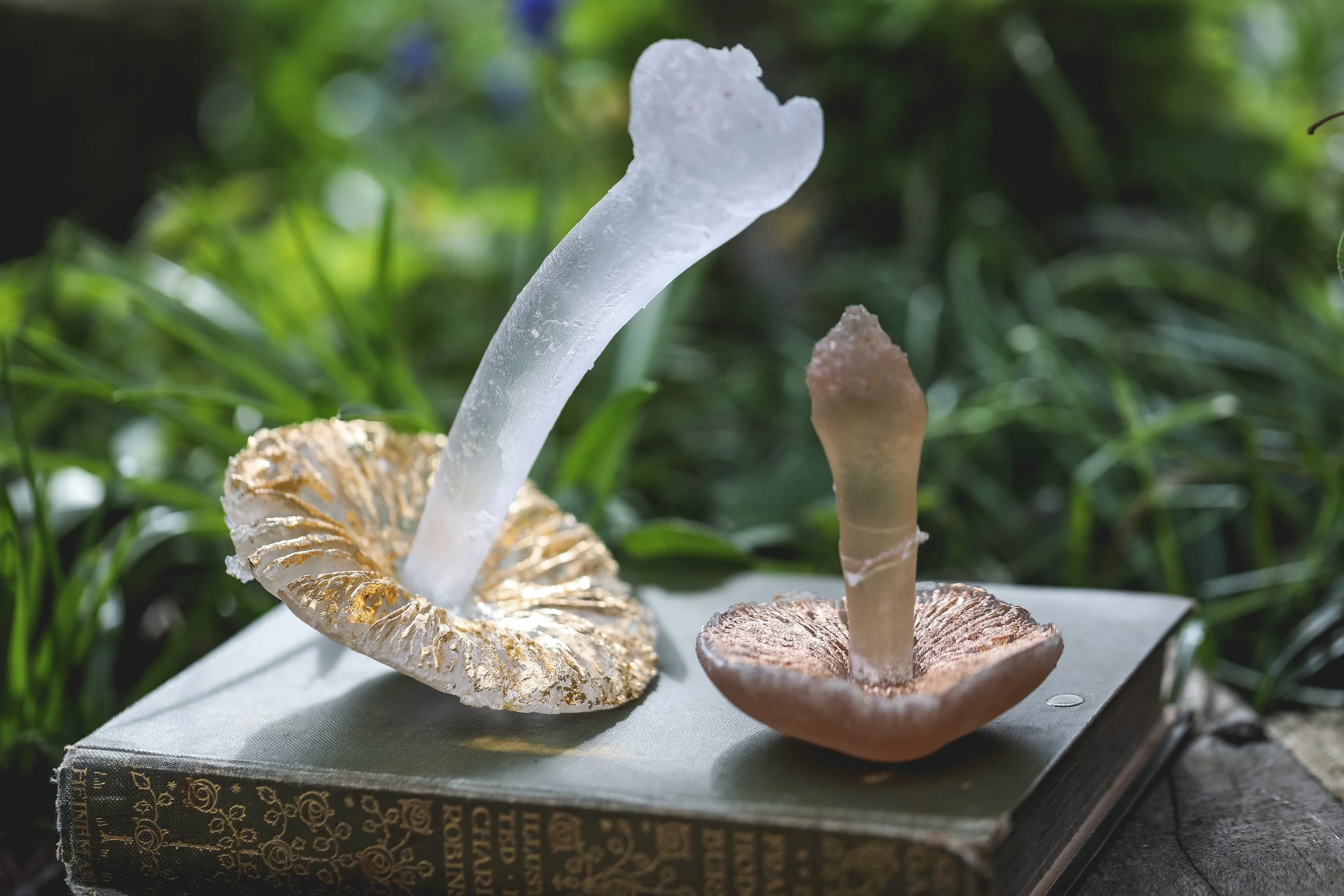 EB - Gilded Mushrooms