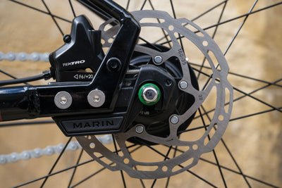 Marin_Presidio_14.jpg