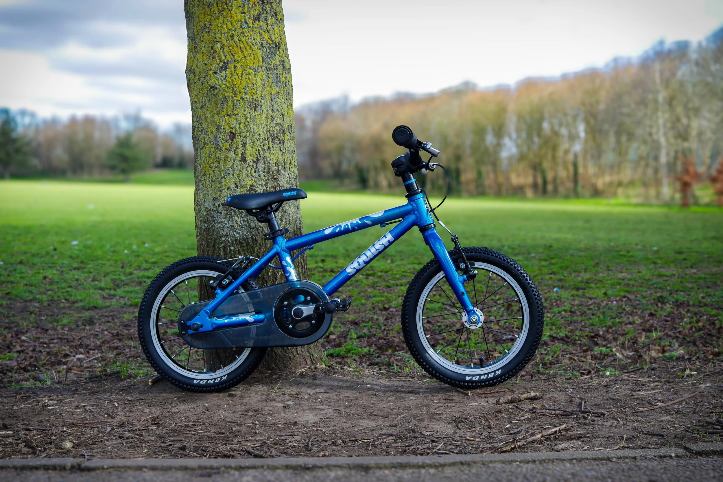 6460W14+Squish+14+Lightweight+Kids+Bike+Blue+2.jpg