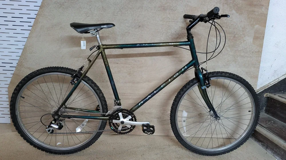 Raleigh Amazon L