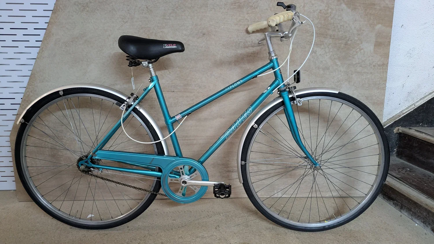 Dawes Diploma 19.5" M/L