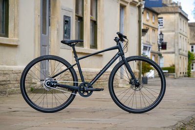 Marin Presido -  19" (M)