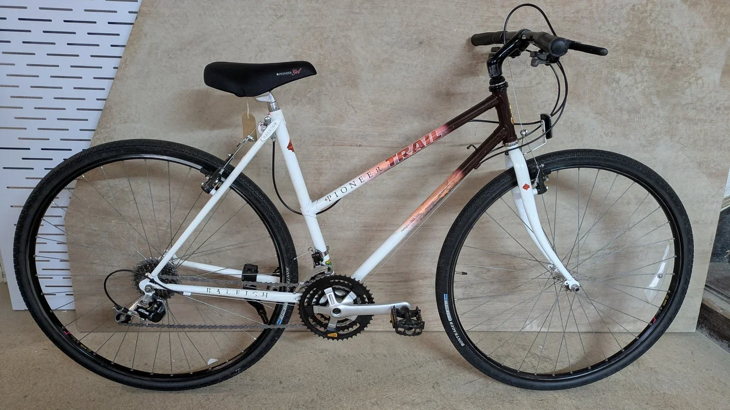 Raleigh Trail Pioneer M