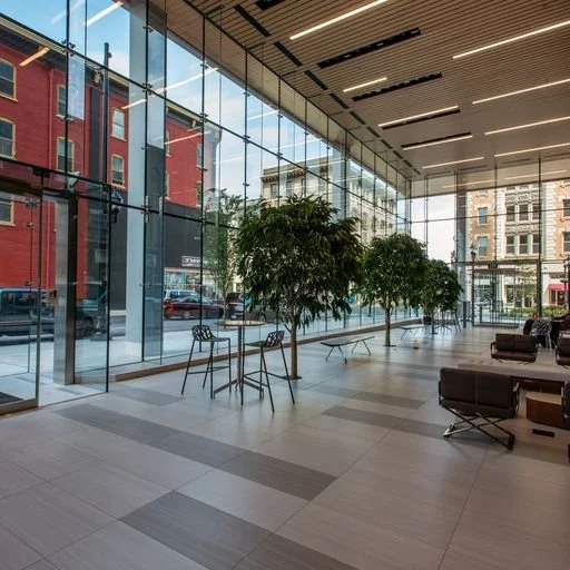 Modern hotel lobby with large glass windows, indoor trees, and seating area.