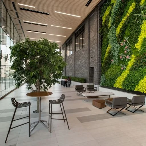 Modern indoor space with a tall green potted plant, a large vertical garden wall, and minimalist seating area with chairs and tables.