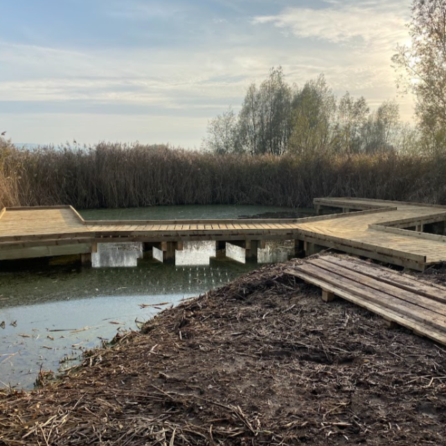 Bridge's & Boardwalks