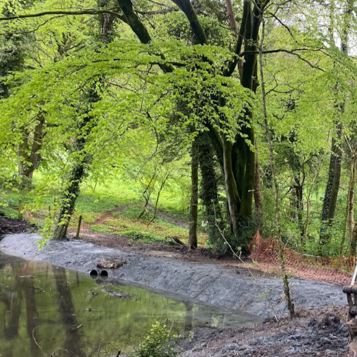 Ponds, Lakes & Wetlands