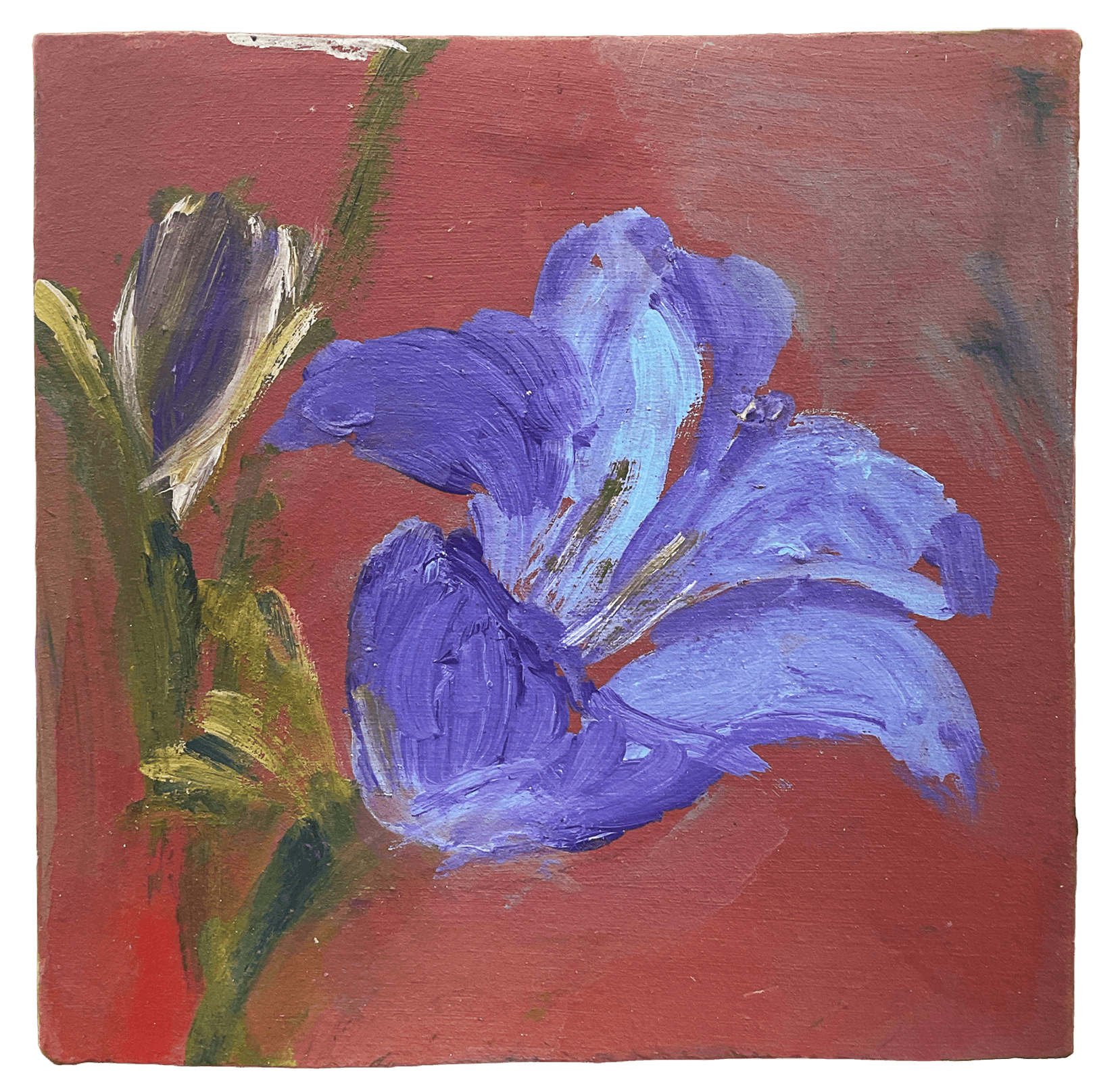 Iris, 18 x 18 cm, Acryl auf Dachziegel mit Tiefgrund fixiert