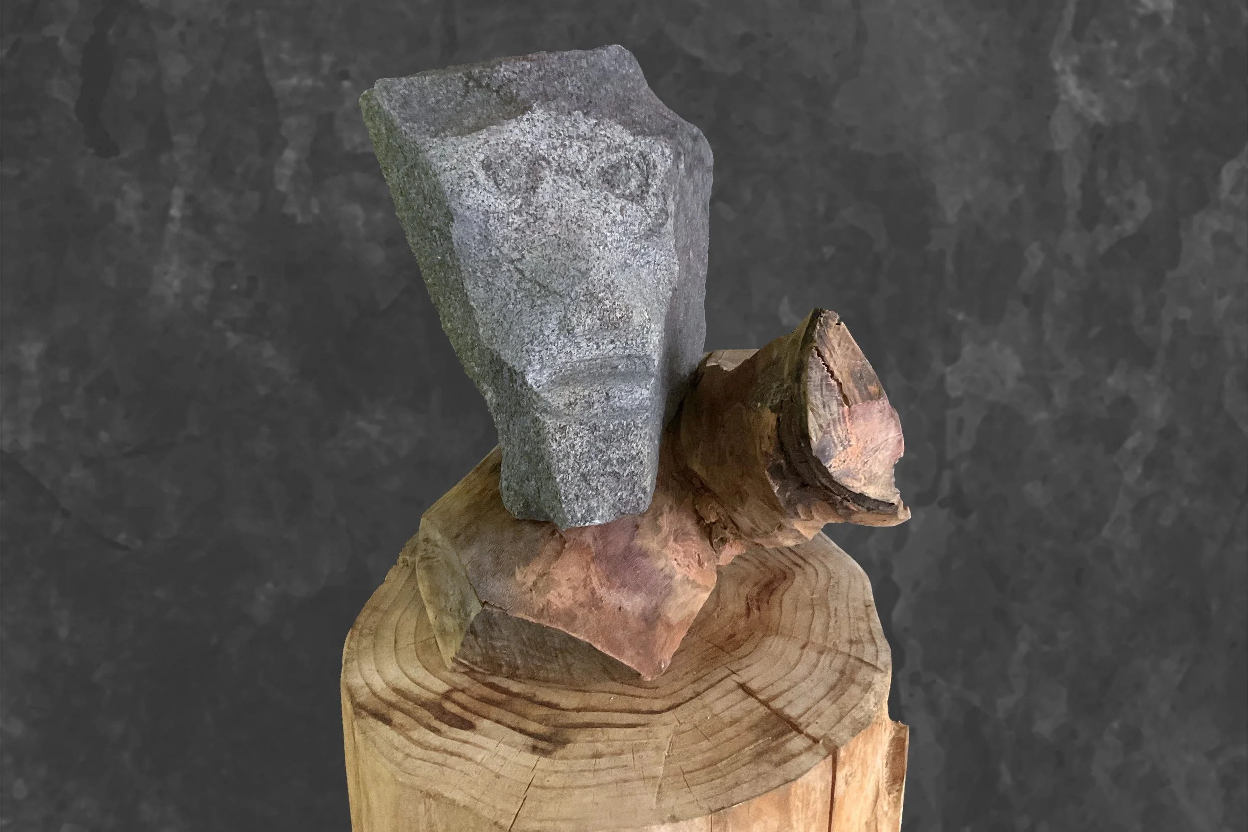 Kopf 06 // Affe, H 26 x B 22 x T 23 cm, Granit auf Kiefernholz