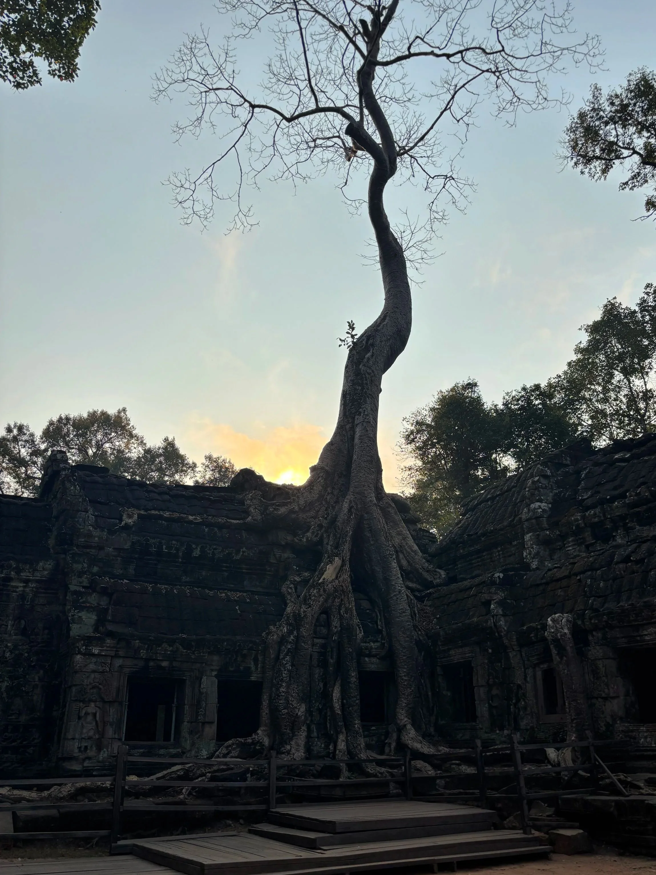 Tomb Raider Temple, Angkor Wat, Cambodia