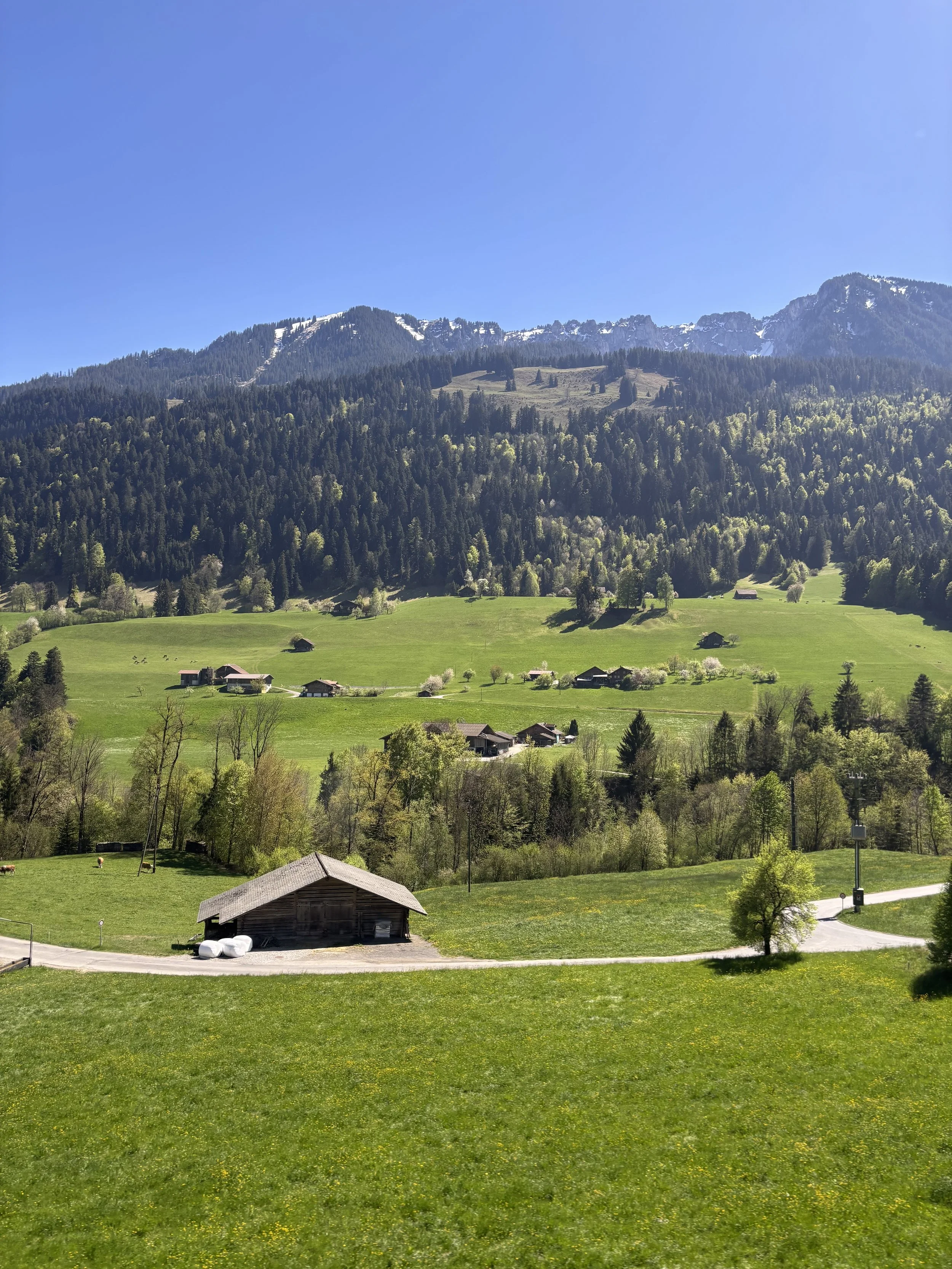 Meadow, Bernina Express Train, Switzerland