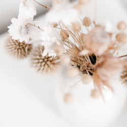 A bouquet of dried cotton, pinecones, and other dried flowers in neutral tones.