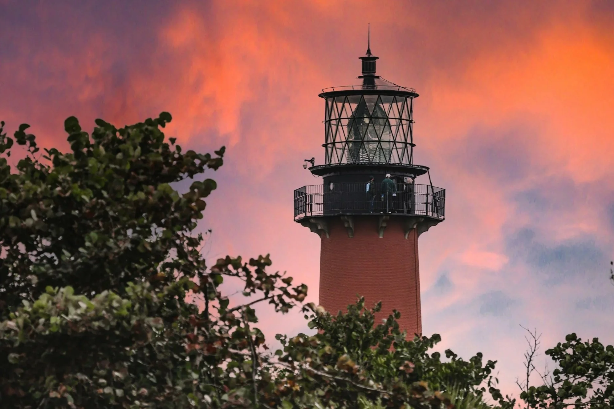 A tall red lighthouse with a black metal and glass lantern room at the top, seen against a colorful evening sky with pink and purple clouds. Green foliage partially obscures the lower part of the lighthouse.