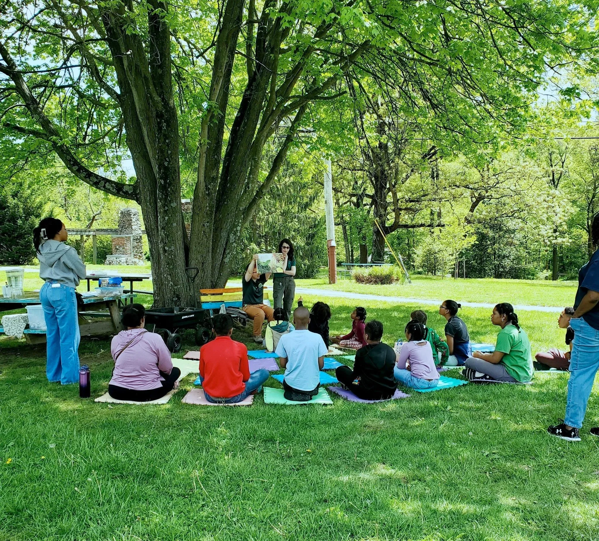 People sitting on colorful mats in a park under a large tree, with a woman holding up a picture and others listening, surrounded by greenery.