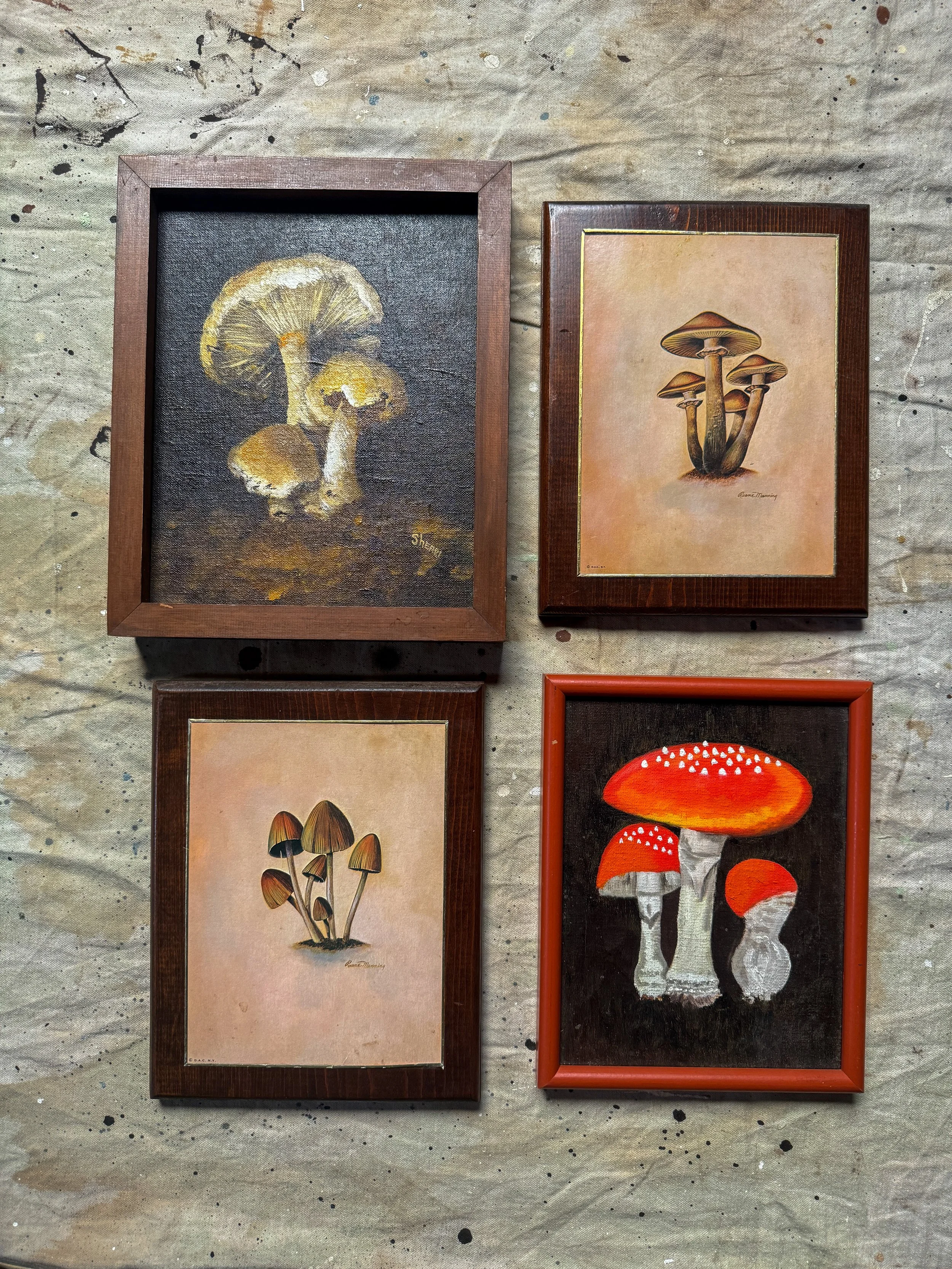 Vintage collection of mushroom paintings