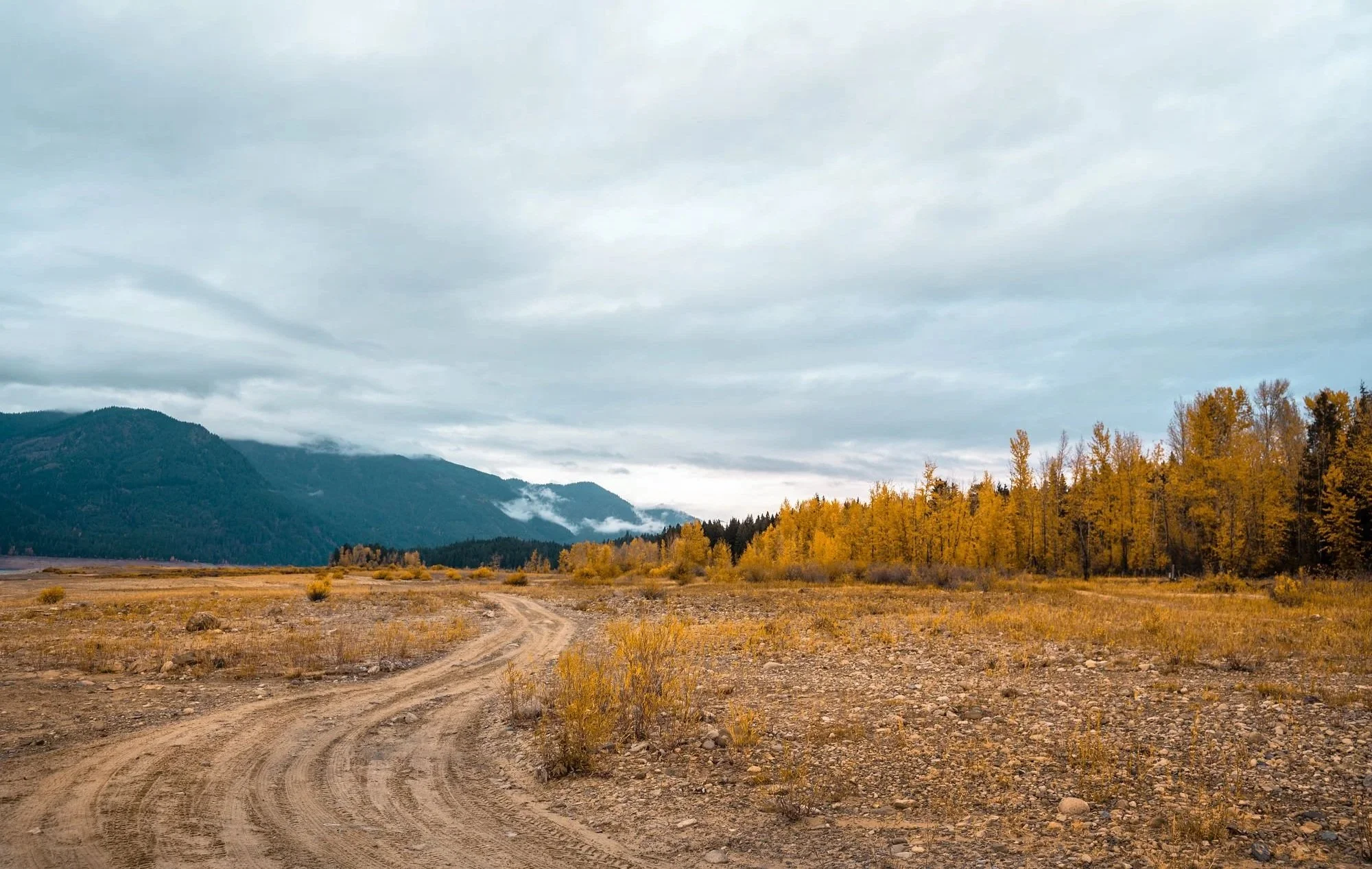 Dirt road winding through a dry, grassy landscape with yellow trees, with mountains and a cloudy sky in the background.
