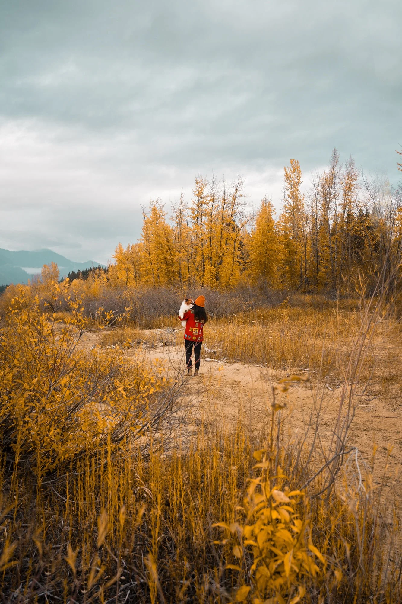 Fall Lake Cle Elum Scout Jacket