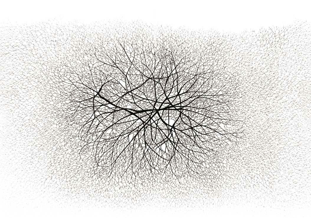 A black and white abstract art piece featuring a dense, organic pattern resembling tree branches or coral, with a dark center that spreads outward.