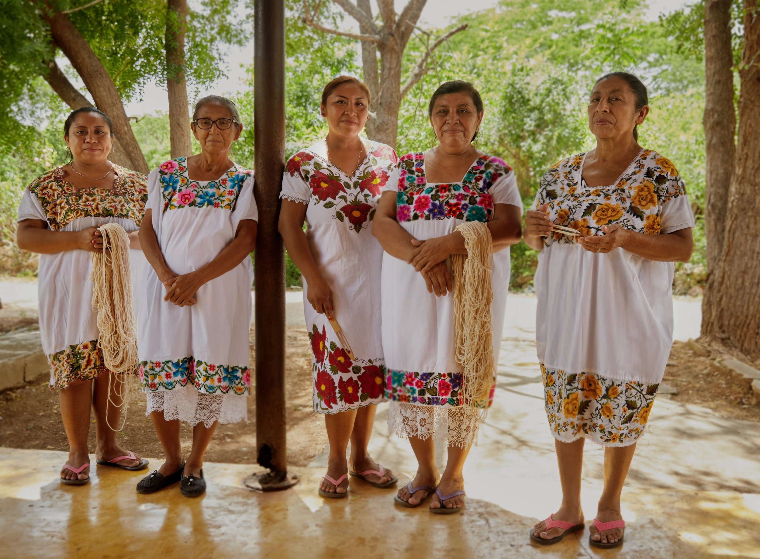 EOI: Bees, Claypans &amp; the Stories Passed Down by Women (Mexico) — closes 7 October 2026