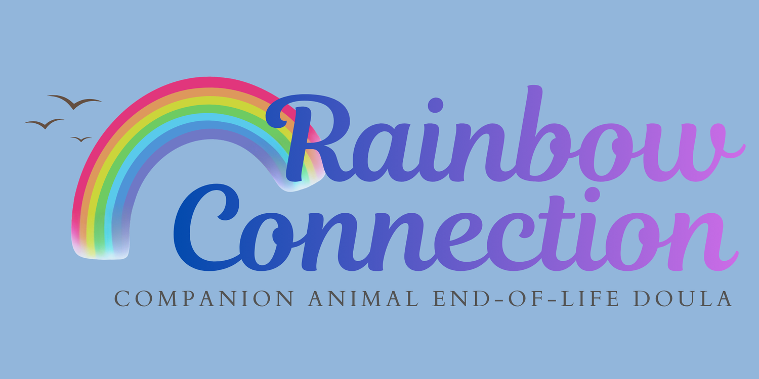Rainbow Connection Companion Animal End-of-Life Doula