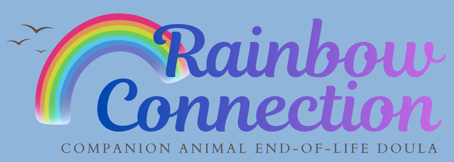 Rainbow Connection Companion Animal End-of-Life Doula
