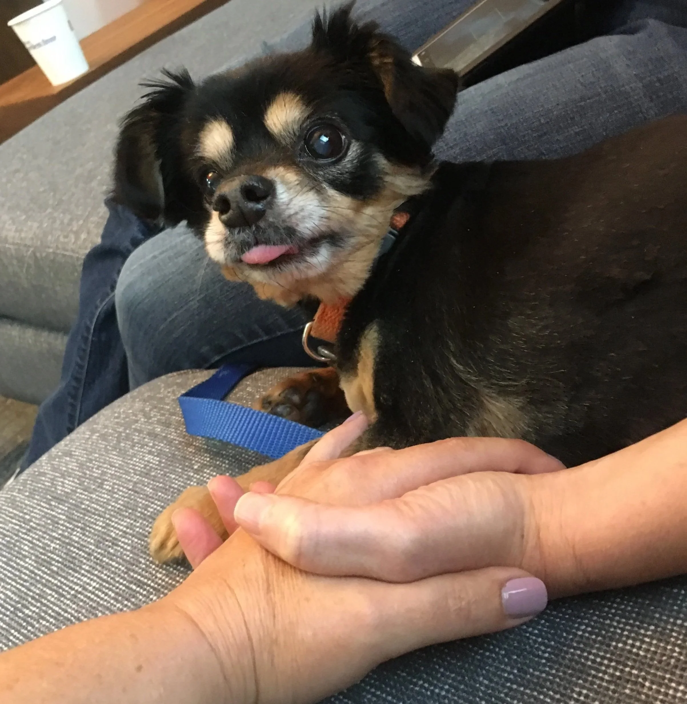 In-Person Consulting