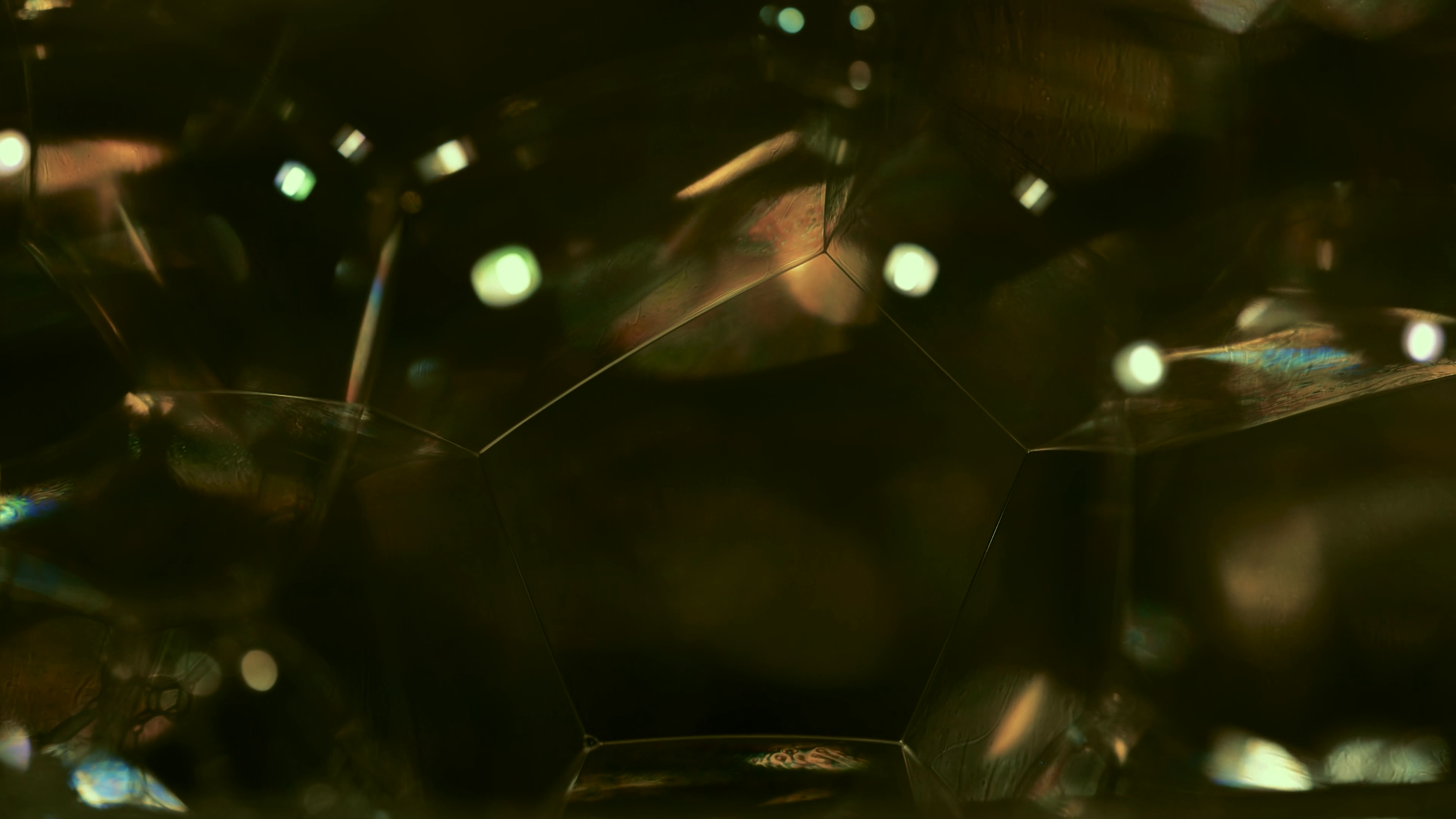 shot50.png