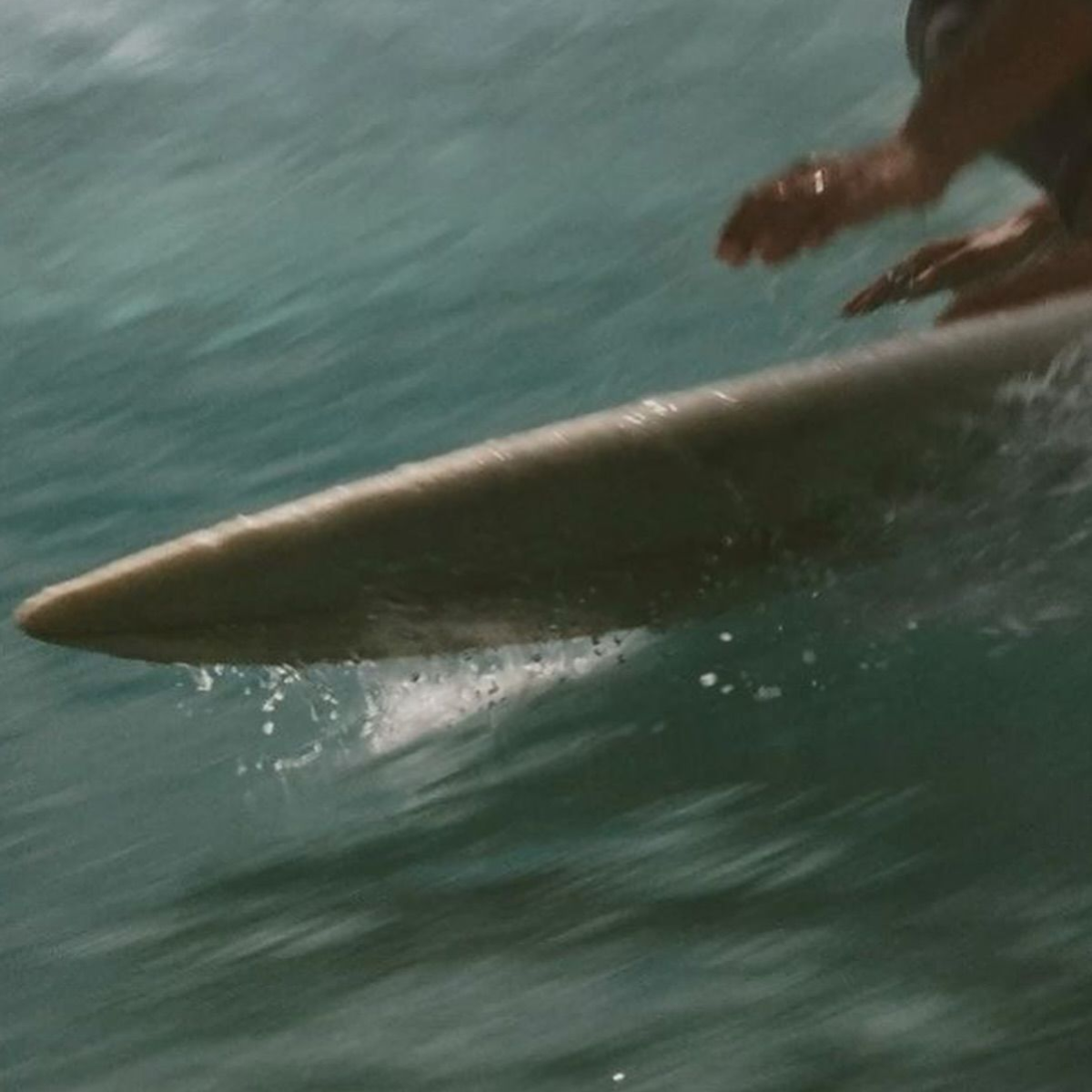 A close-up of a surfer in the ocean.