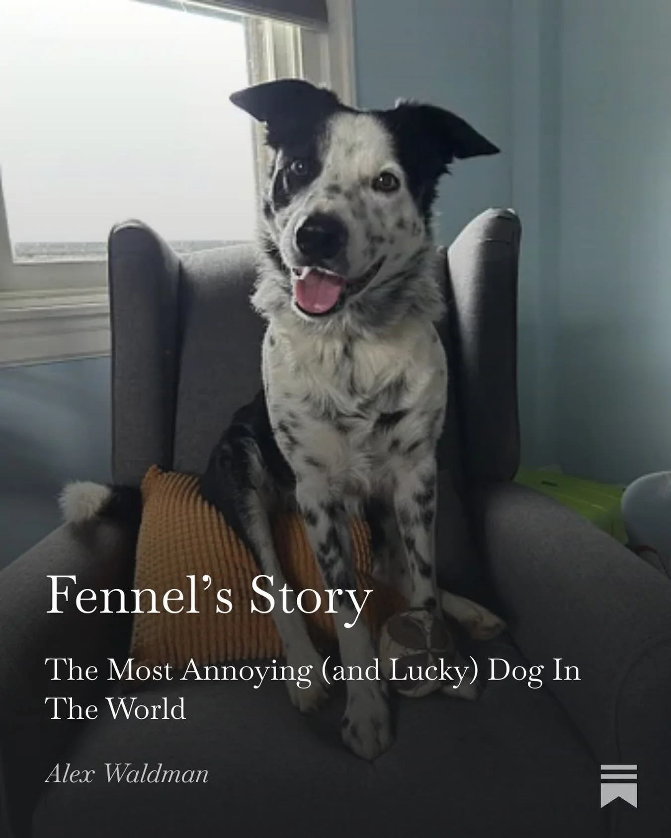 https://alexwaldmanauthor.substack.com/p/fennels-story Substack link in bio