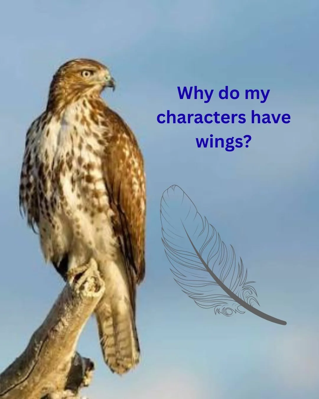 Are wings a trope? I blame Anne McCaffrey and @tabarronauthor for my loving the idea #romantasy #tropes #wings #scifi #fantasy