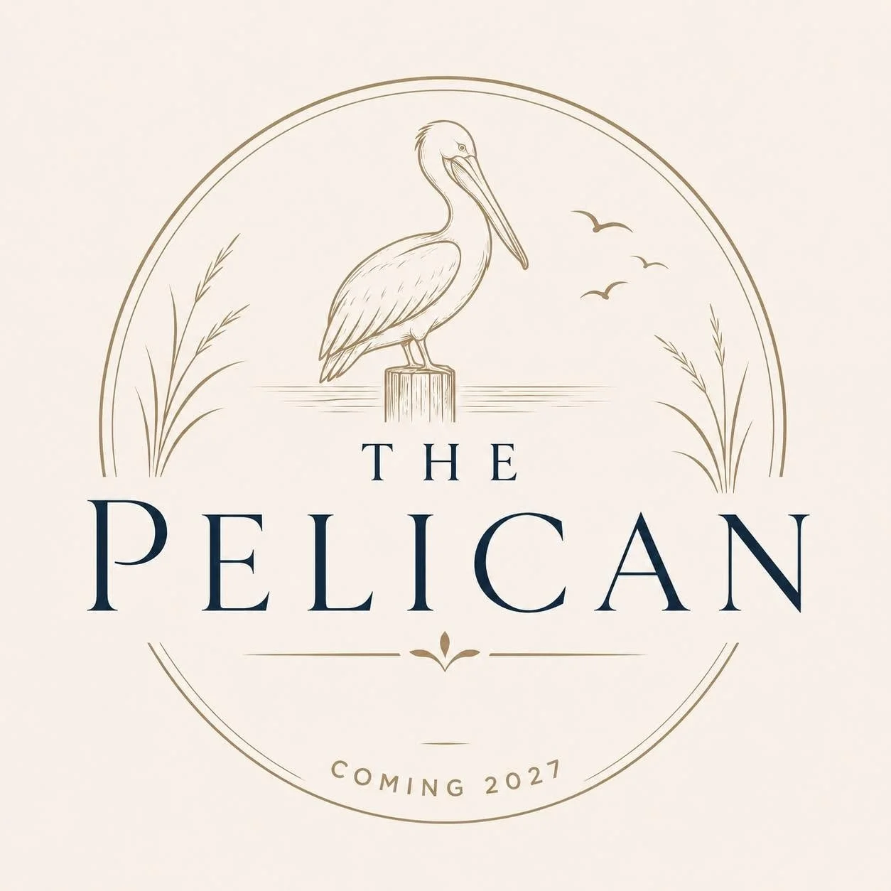 The Pelican