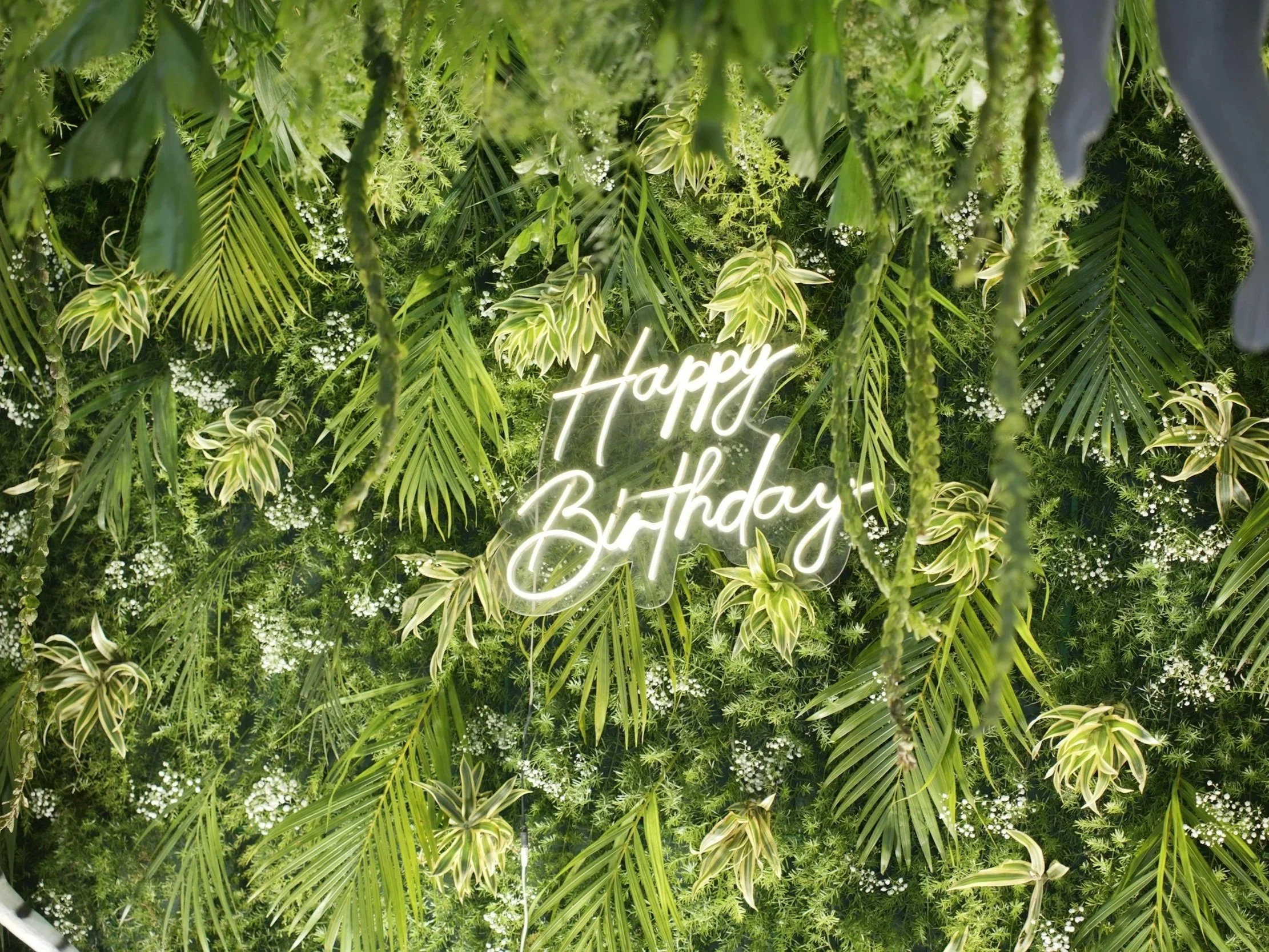 Green leafy wall with a neon sign that says 'Happy Birthday' in the center.