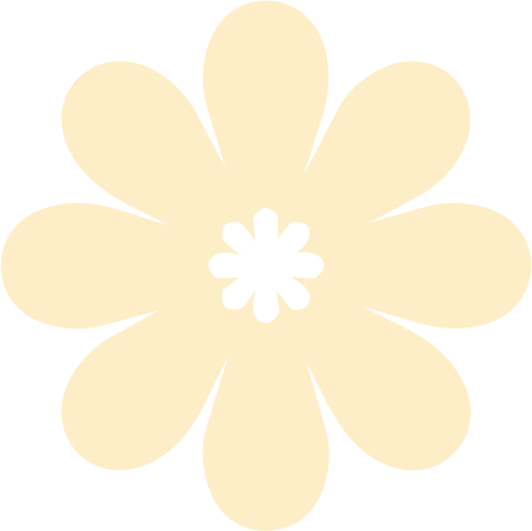 A cream-colored flower with eight rounded petals and a black center on a black background.